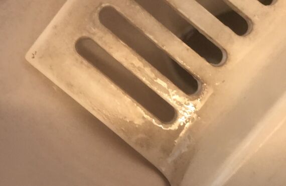 今日のクリーニング