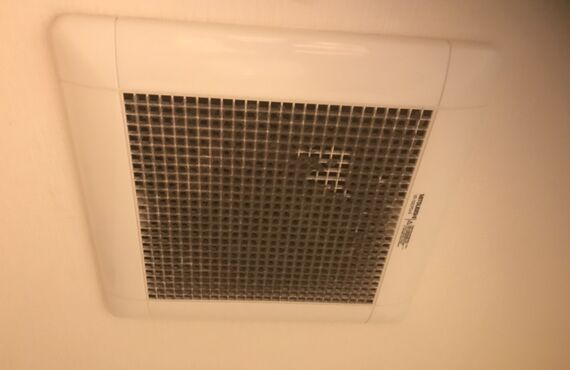 ３月１２日のクリーニング