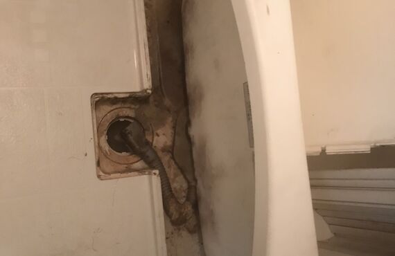 3月15日のクリーニング