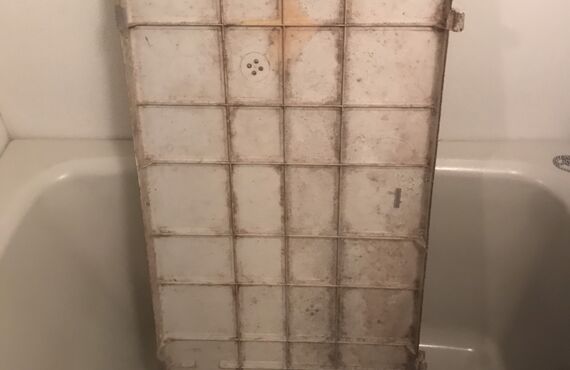 ３月１７日のクリーニング