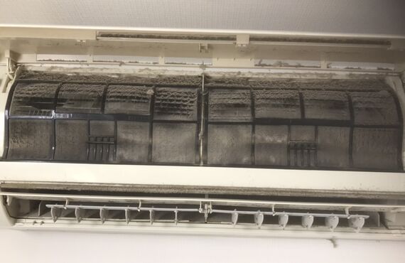 ３月２５日のクリーニング