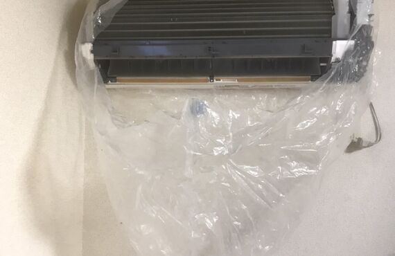 ７月１７日のクリーニング